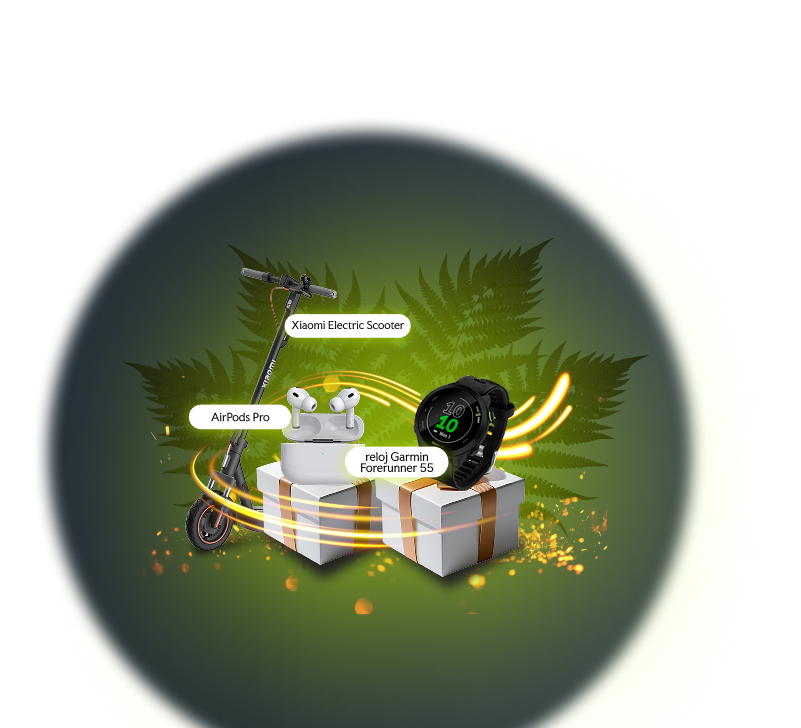 ¡Celebra el Día de San Juan con regalos nuevos!